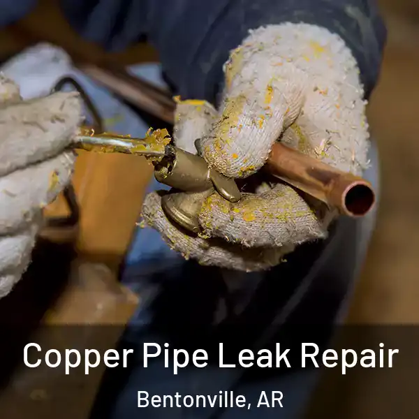  Copper Pipe Leak Repair Bentonville, AR