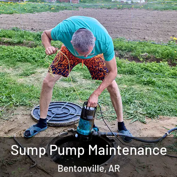  Sump Pump Maintenance Bentonville, AR