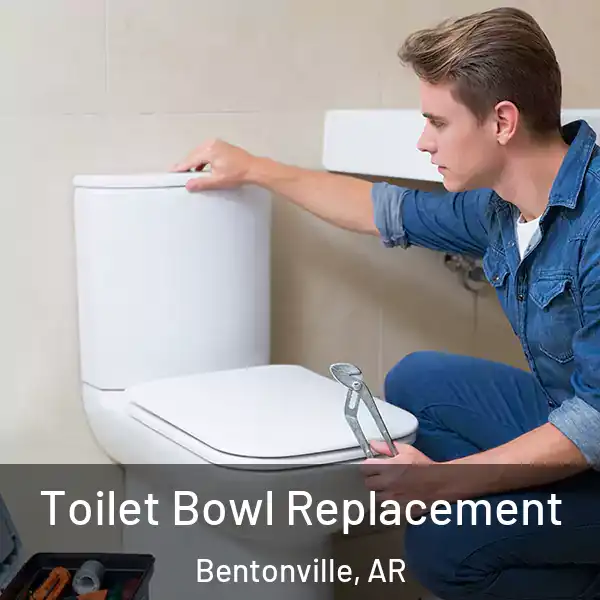  Toilet Bowl Replacement Bentonville, AR