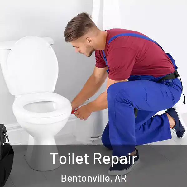  Toilet Repair Bentonville, AR