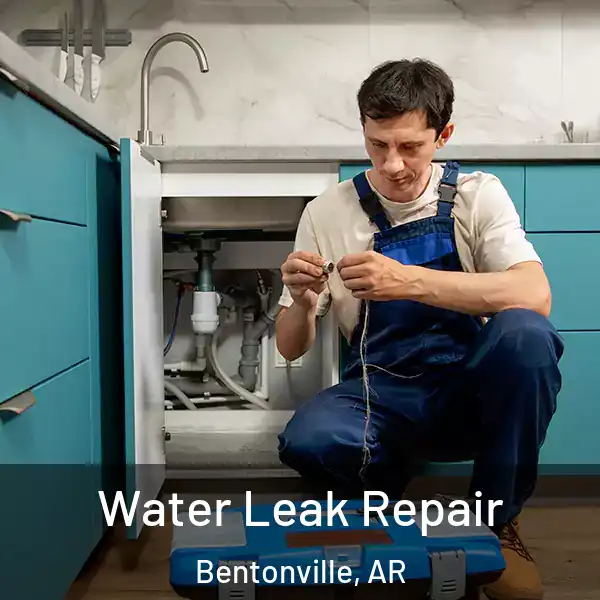  Water Leak Repair Bentonville, AR
